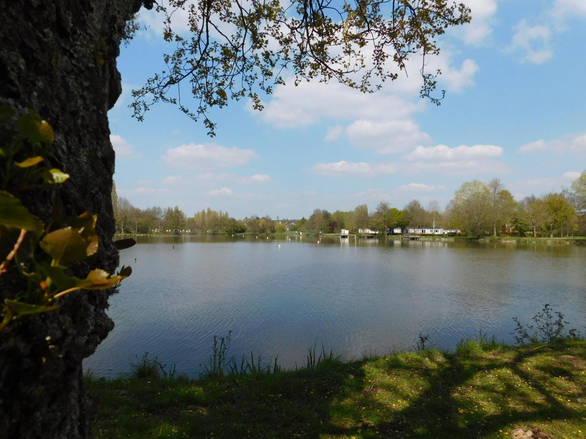 Village De Gites De La Chesnaie Saint-Denis-du-Maine Pokój zdjęcie